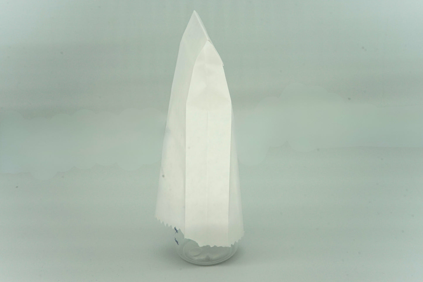 No 21 Satchel Bottle Cover